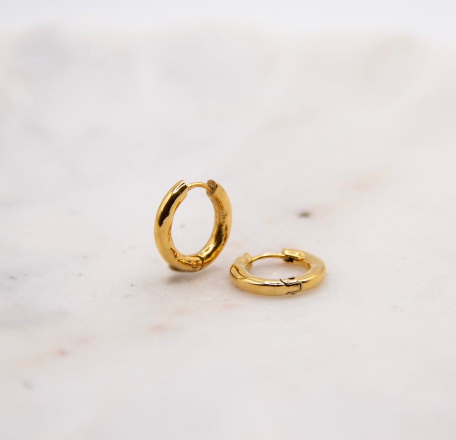 Waterproof Battered Hoops